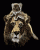 /album/lev/lev-014-gif/